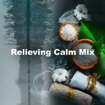 Relieving Calm Mix by Stress Relief Calm Oasis