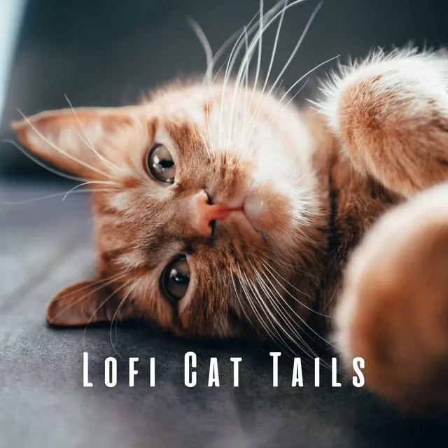 Lofi Cat Tails: Ambient Sounds for Cat's Relaxation