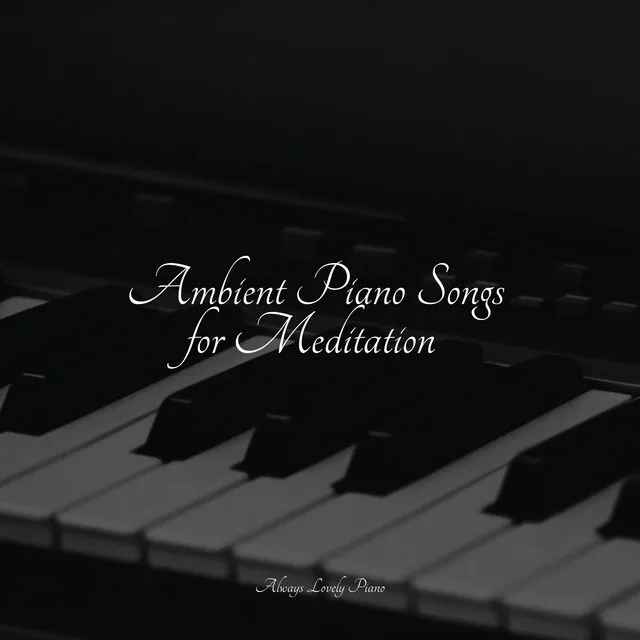 Relaxing Piano for the Soul