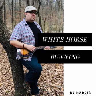 White Horse Running by Dj Harris