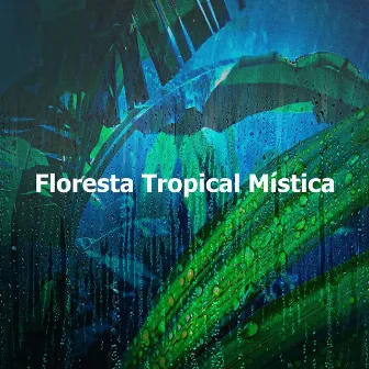 Floresta Tropical Mística by Ambiente Forestal