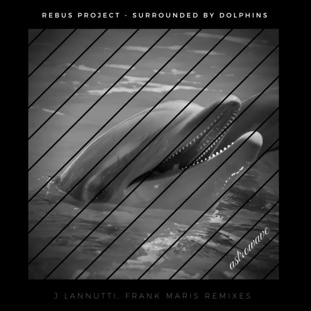 Surrounded by Dolphins - J Lannutti Remix