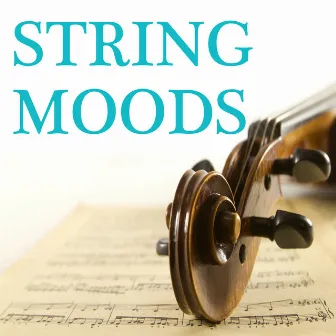 String Moods by String Orchestra