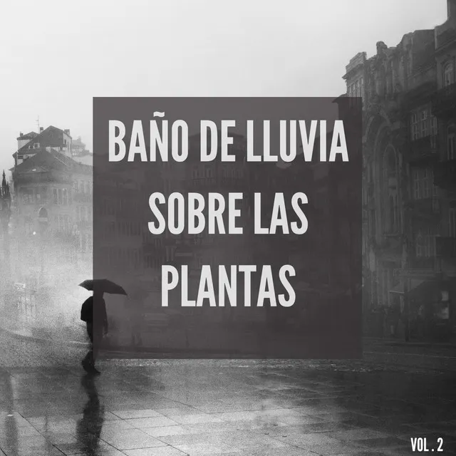 Baño de lluvia sobre las plantas Vol.2