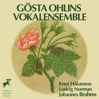 Håkanson, Norman & Brahms by Knut Håkanson