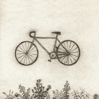 Bicycle by RM