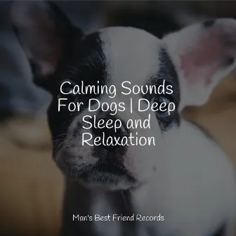 Calming Sounds For Dogs | Deep Sleep and Relaxation by Deep Sleep