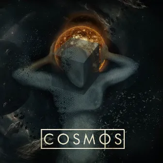 Cosmos by Cosmos