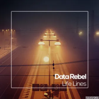 Life Lines by Data Rebel