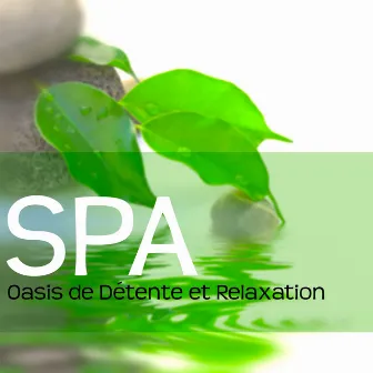 Spa – Oasis de Détente et Relaxation: Musique pour Massage, Sauna et Shiatsu, Méditation pour Combattre le Stress by Unknown Artist