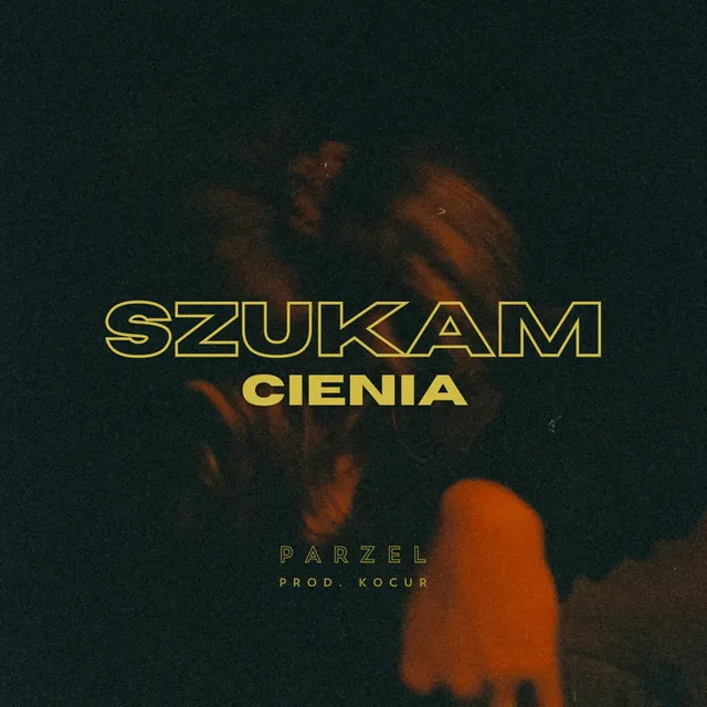 Szukam cienia