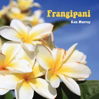 Frangipani by Ken Murray