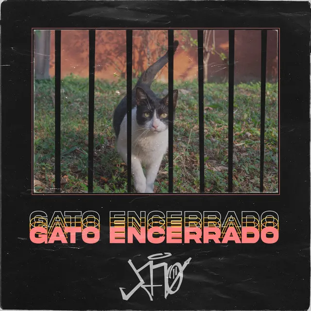 Gato Encerrado