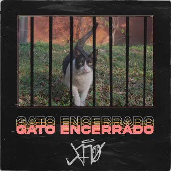 Gato Encerrado by JAÑO