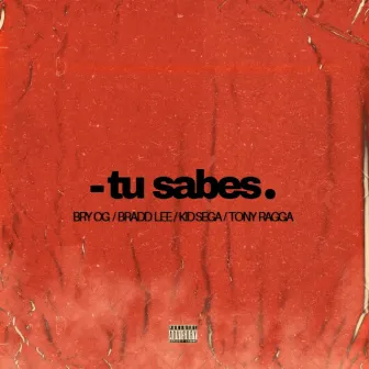 Tu Sabes by Bry OG