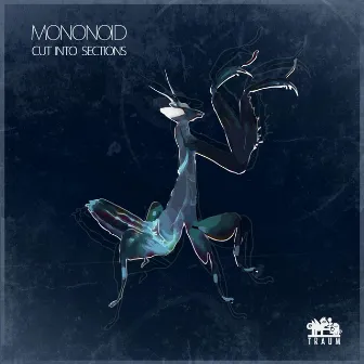 Cut into Sections by Mononoid