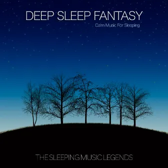 A Deep Sleep Fantasy by The Sleeping Music Legends