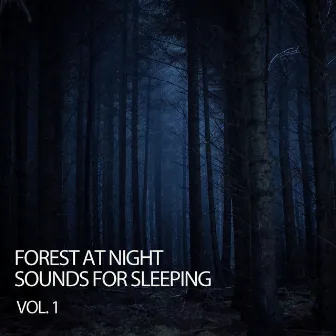 Forest At Night: Sounds For Sleeping Vol. 1 by Forest Rain FX