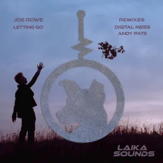 Letting Go by Joe Rowe