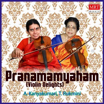 Pranamamyaham (Violin Delights) [Instrumental] by T. Rukmini