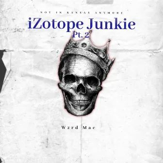 iZotope Junkie, Pt. 2 by Wzrd Mac