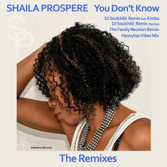 You Don't Know (The Remixes) by Shaila Prospere