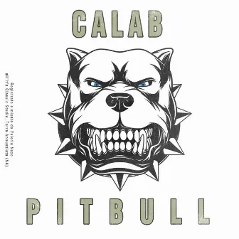 Pitbull by Calab