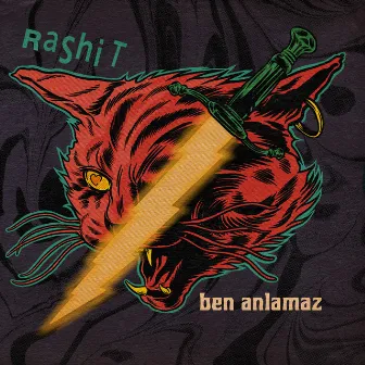 Ben Anlamaz by Rashit