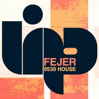 0530 House by Fejer