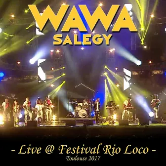 Live Festival Rio Loco (Toulouse 2017) by Wawa Salegy