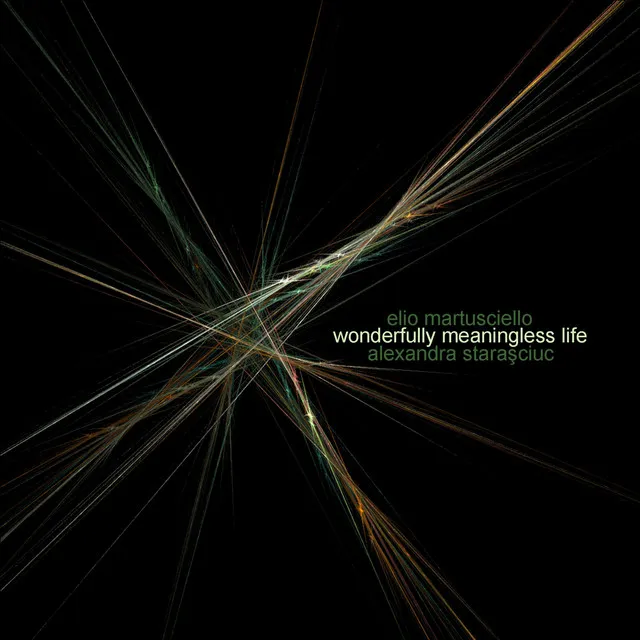 Wonderfully Meaningless Life