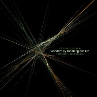 Wonderfully Meaningless Life by Elio Martusciello