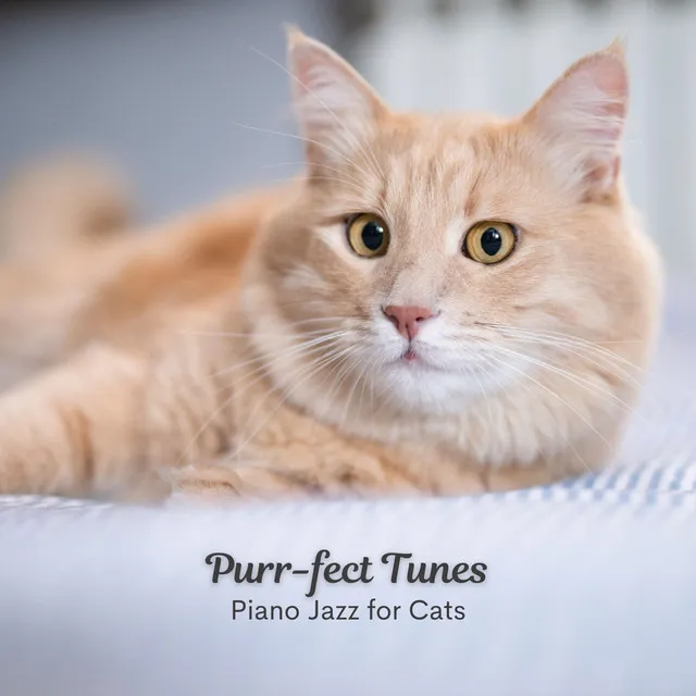 Purr-fect Tunes: Piano Jazz for Cats