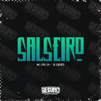 Salseiro by MC Lipe ch