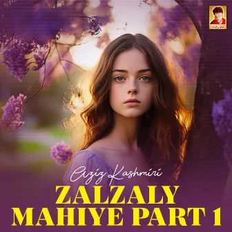 Zalzaly Mahiye, Pt. 1 by Aziz Kashmiri