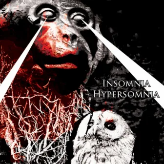 Insomnia/Hypersomnia by KÖYHÄ