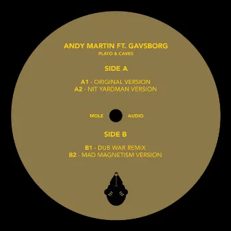 Plato & Caves (Remixes) by Andy Martin