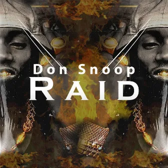 Raid by Don Snoop