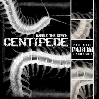 CENITIPEDE by Unknown Artist