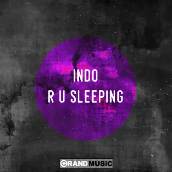 R U Sleeping by Indo