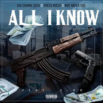 All I Know by Rico Rich