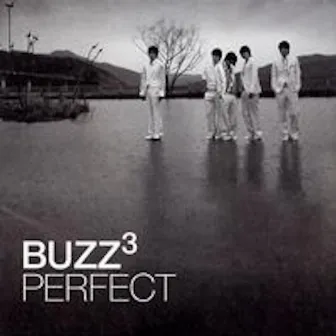 Perfect by BUZZ