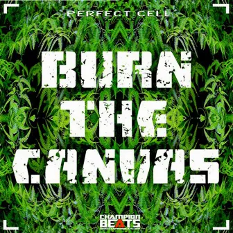 Burn The Canvas Ep by Perfect Cell