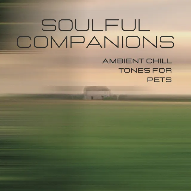 Soulful Companions: Ambient Chill Tones for Pets