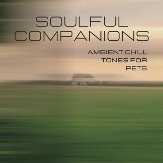 Soulful Companions: Ambient Chill Tones for Pets by Quiet Sunday Morning Music