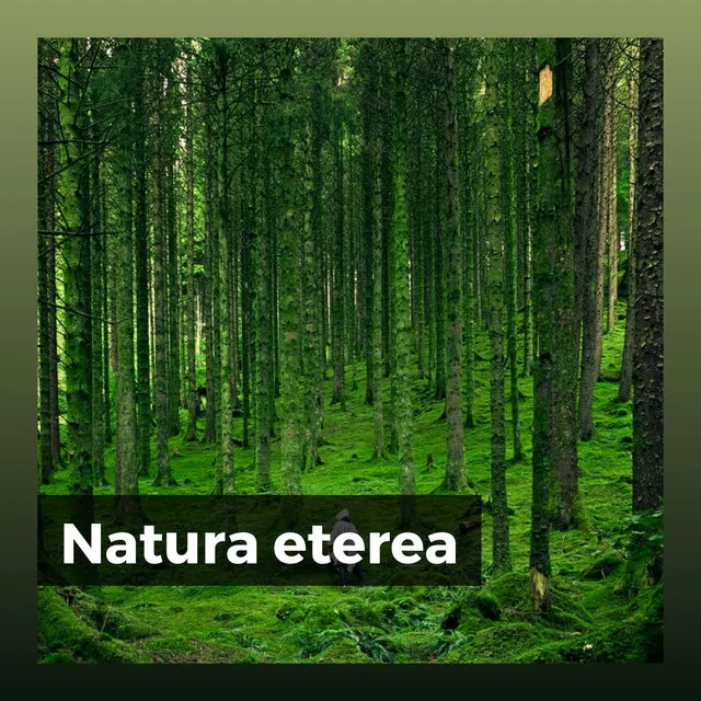 Natura eterea