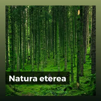 Natura eterea by Zona pura di suoni naturali