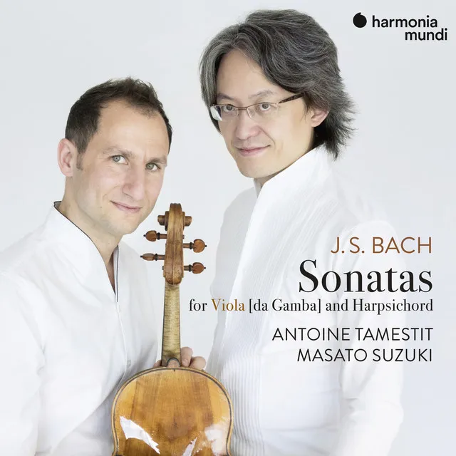 Sonata for Viola da Gamba in G Major, BWV 1027: III. Andante (Arr. for Viola)