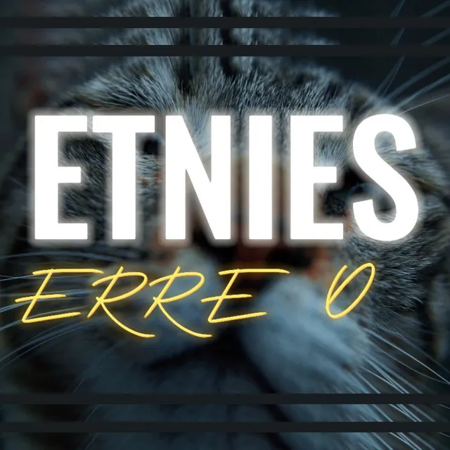 Etnies Brand