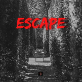 Escape by 2Havic